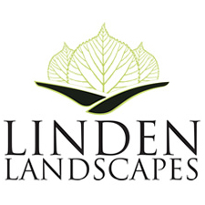 linden landscape