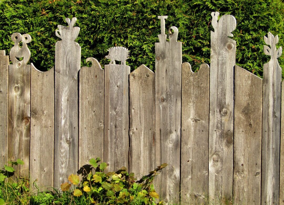 hedging v fencing - the pros and cons