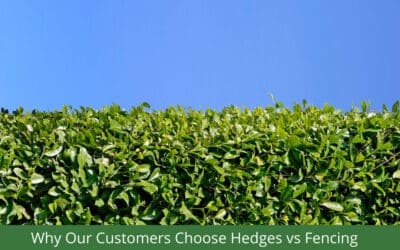 Why our Customers Choose Hedges vs Fences