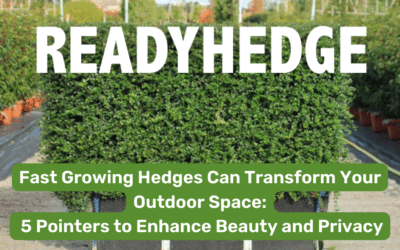 Transform Your Space: 5 Pointers for Fast Growing Hedges