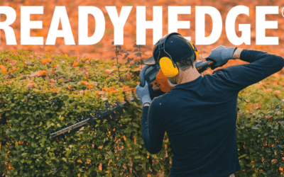 Autumn Hedges at Readyhedge: Unveiling our New Lines